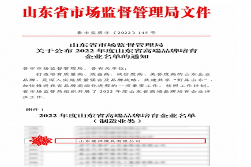 Good news - Ruixiang Mold won the 